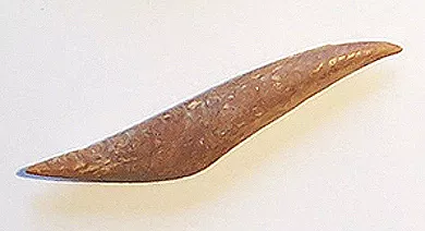 Barba de arpón