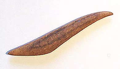 Barba de arpón