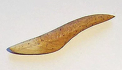 Barba de arpón