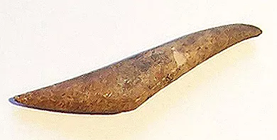 Barba de arpón