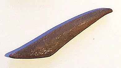Barba de arpón