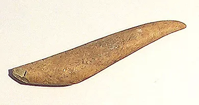 Barba de arpón