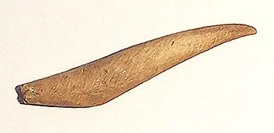 Barba de arpón