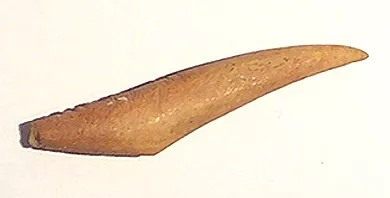 Barba de arpón