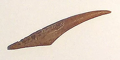 Barba de arpón
