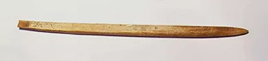 Cabezal de arpón