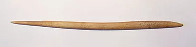 Cabezal de arpón