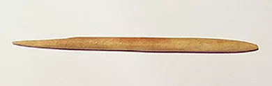 Cabezal de arpón