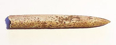 Cabezal de arpón