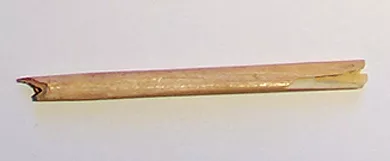 Tubo
