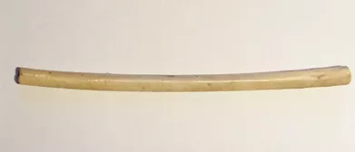 Tubo