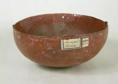 Escudilla