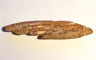 Pesa de pesca