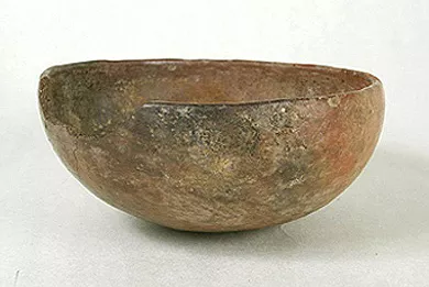Escudilla