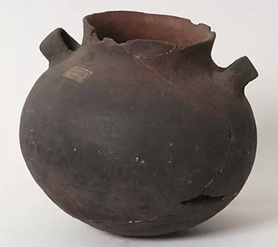 Olla (arqueológica y etnográfica)