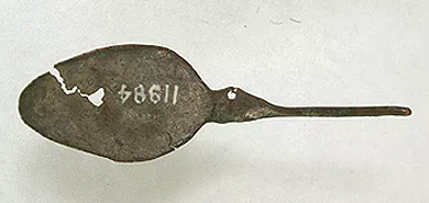Tupu