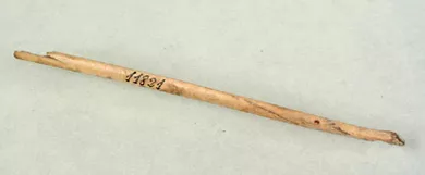 Aguja (arqueológico y etnográfico)