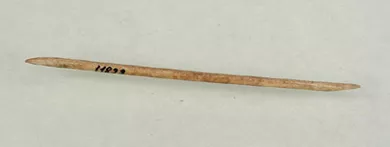 Aguja (arqueológico y etnográfico)
