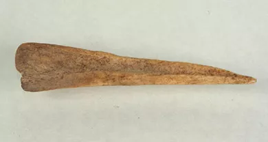 Cuchara