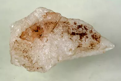Lasca