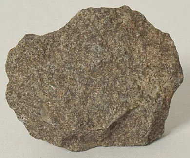 Lasca