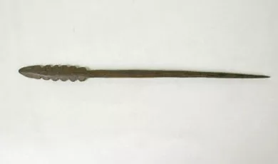 Tupu