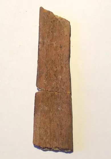 Espátula