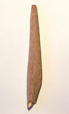 Barba de arpón