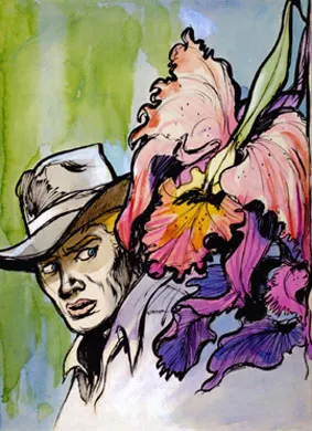 El Cazador de Orquídeas