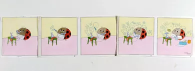 Polita raya su pared