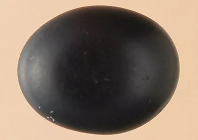Sobador
