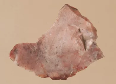 Lasca