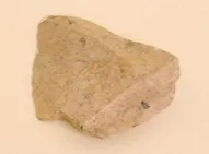 Lasca