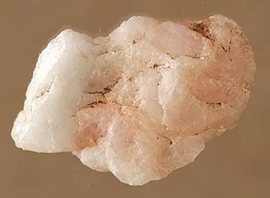 Lasca