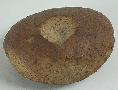 Preforma (lítico)