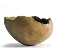 Metawe