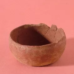 Puco
