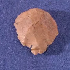 Raspador