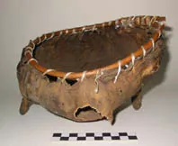 Trongtrong