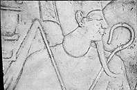 Sumo sacerdote