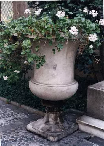 Jarrón
