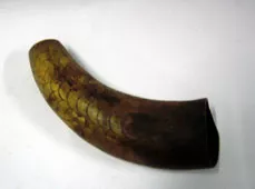 Cuerna