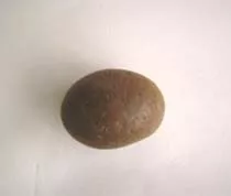 Sobador