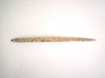 Aguja (arqueológico y etnográfico)