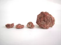 Colorante