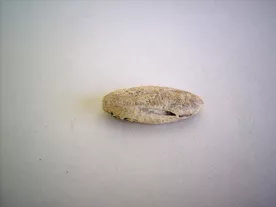 Pulidor (arqueológico)