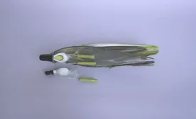 Maqueta