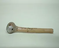 Mate