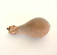 Calabaza