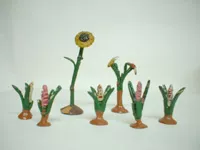 Flores